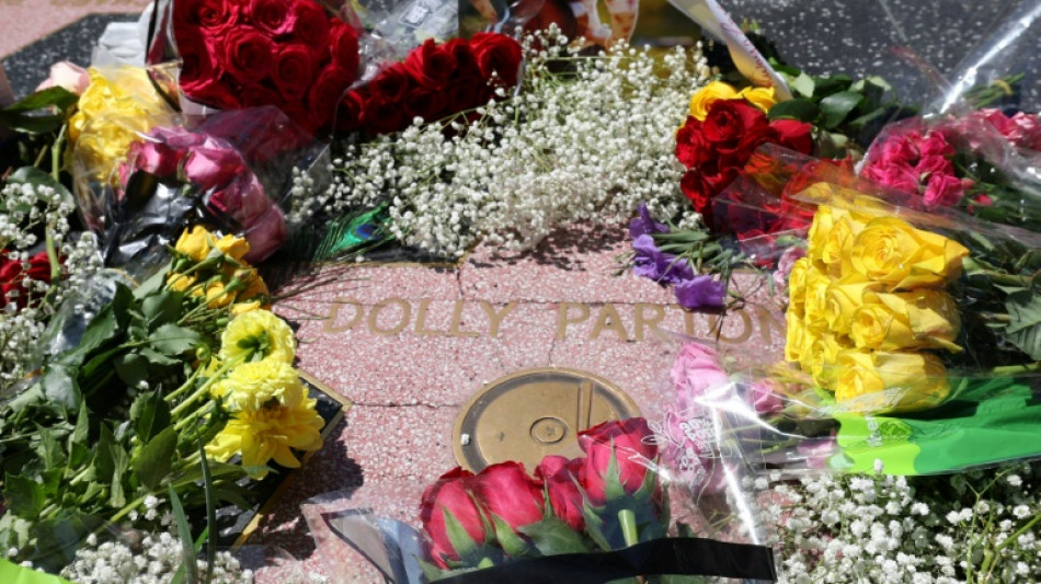   United States of Dolly: how a country queen bridged America's divide 