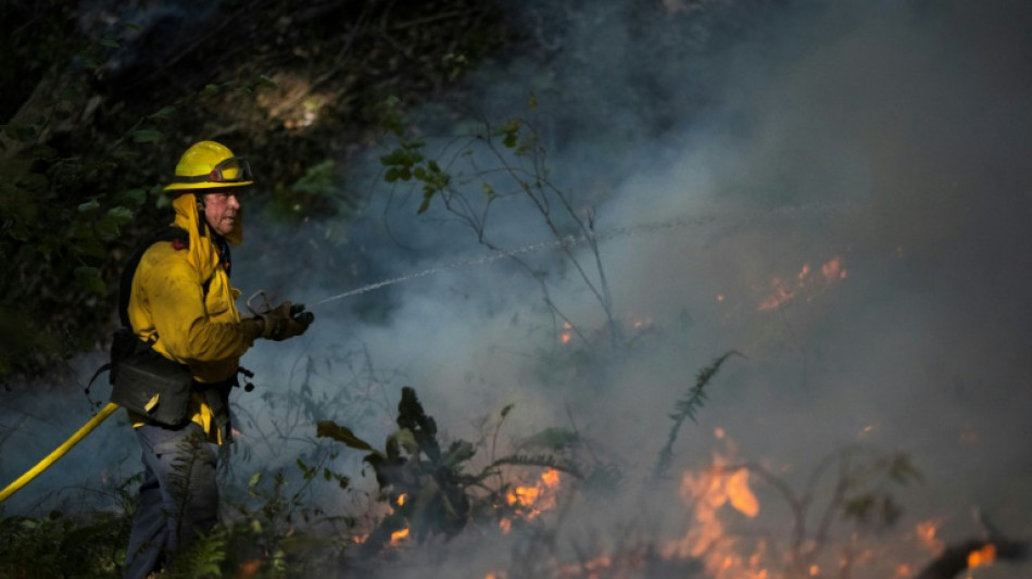Fogo contra fogo: Calif&oacute;rnia combate inc&ecirc;ndios florestais com queimadas controladas