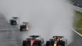 Verstappen title bid in Japan delayed by red flag