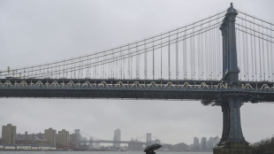 Nueva York indemnizar&aacute; a manifestantes contra el racismo acosados por la polic&iacute;a