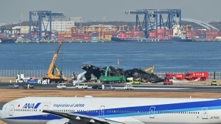 Comienza la remoci&oacute;n de los restos de un avi&oacute;n siniestrado en el aeropuerto de Jap&oacute;n