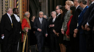 A Westminster, le président allemand cite le groupe Oasis pour parler des relations post-Brexit