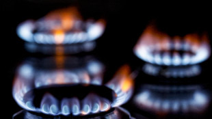 Il gas apre in rialzo sul mercato di Amsterdam (+1,1%)