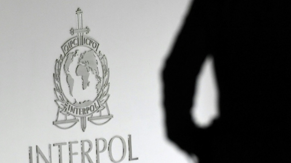 Veinte detenidos en un operativo internacional contra la pornografía infantil