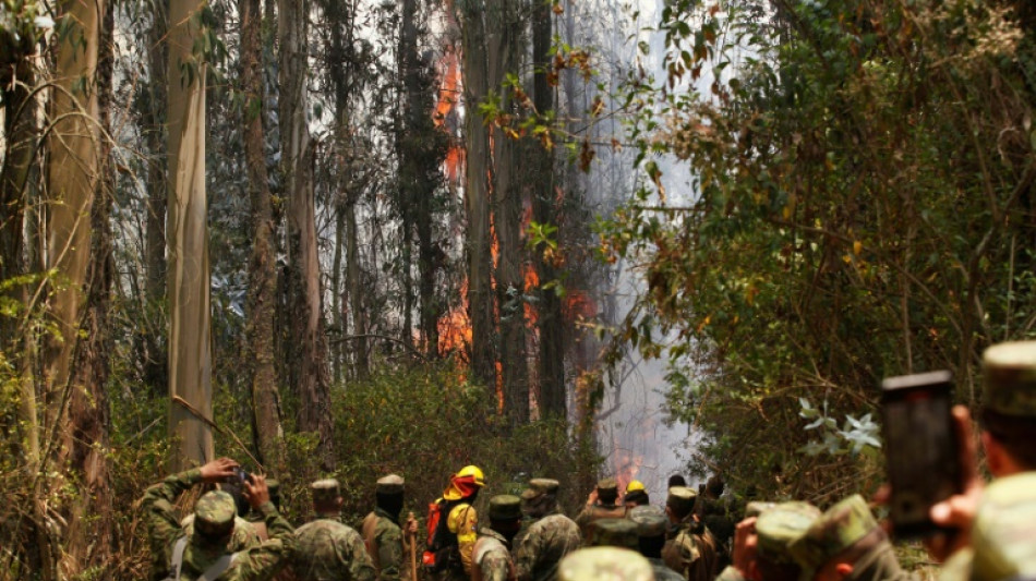 Equateur: la capitale Quito en "&eacute;tat d'urgence" face &agrave; 27 incendies de for&ecirc;ts