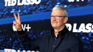 Apple f&eacute;brilement attendu dans le m&eacute;tavers