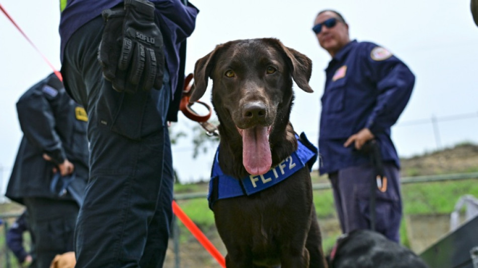  Four-legged rescuers lead way after Venezuela quakes 