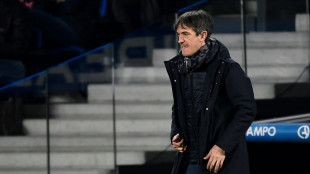 El Villarreal destituye a su entrenador, Jos&eacute; Rojo 'Pacheta'