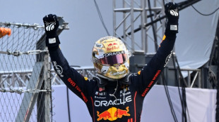 Fast start and smart strategy paid off says Verstappen