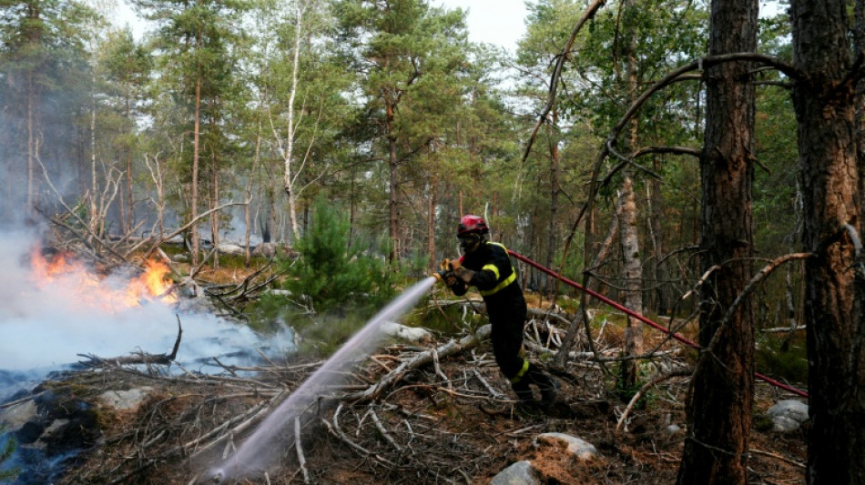  Fire ravages popular forest outside Paris 