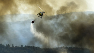 Mejora situaci&oacute;n de incendios en Galicia, pero avanza fuego en el centro de Espa&ntilde;a