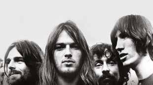Pink Floyd, esce in Italia "Pigs Might Fly La Vera Storia"