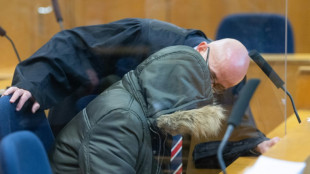 Alemania condena a cadena perpetua a un sirio que tortur&oacute; a opositores durante el r&eacute;gimen de Asad