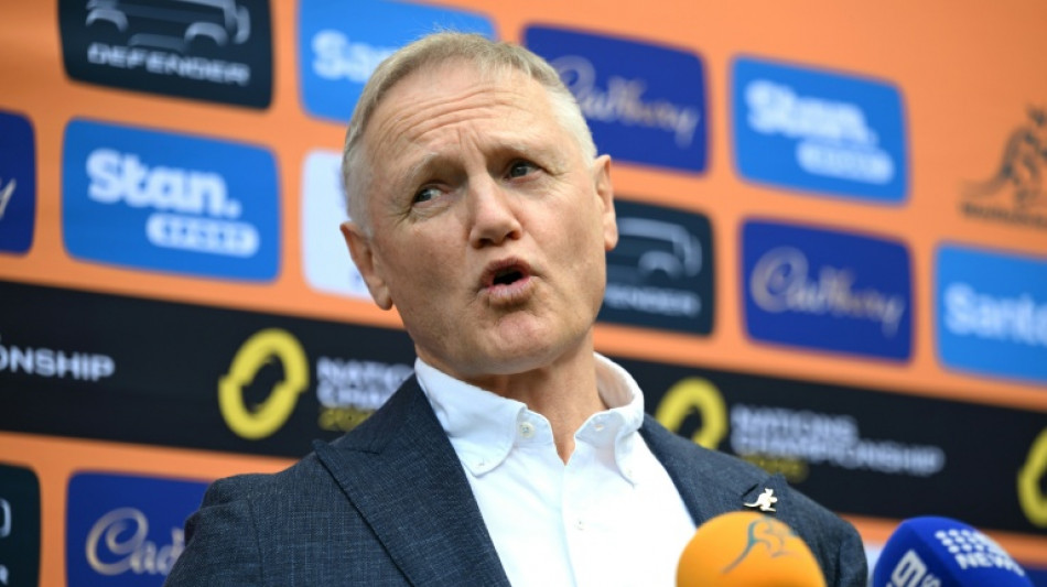  Wallabies' Schmidt rules out another coaching job 