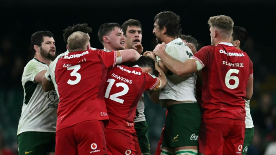 Rugby: l'Afrique du Sud atomise le pays de Galles 73-0 à Cardiff, Etzebeth voit rouge