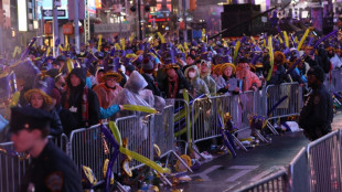Acusado agresor de polic&iacute;as que quer&iacute;a realizar ataque yihadista en Nueva York