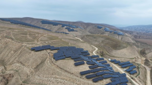 Renewables outpace fossil fuels despite US policy shift: IEA