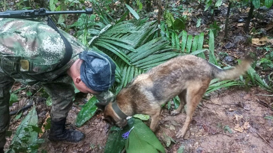 Quatre enfants, dont un b&eacute;b&eacute;, ont surv&eacute;cu seuls 15 jours dans l'Amazonie colombienne