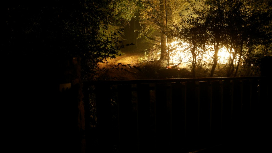  Planes fight fire in Fontainebleau forest near Paris 