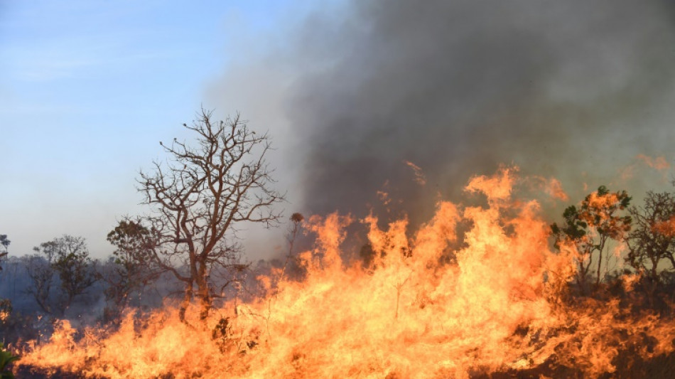 Gran incendio afecta a Parque Nacional de Brasilia, favorecido por sequ&iacute;a