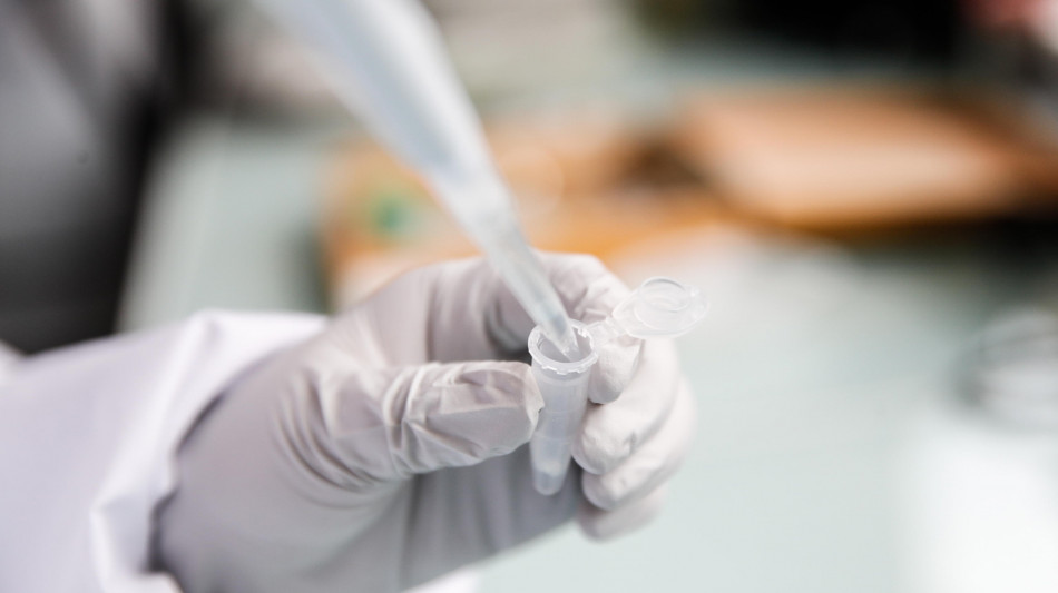  Staminali, farmaci e terapia genica nel futuro del trattamento del diabete 