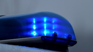 Lkw-Fahrer f&auml;hrt mit 3,8 Promille in Schlangenlinien &uuml;ber Autobahn 2