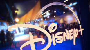 Disney perd de nouveau des abonn&eacute;s &agrave; Disney+, Wall Street d&eacute;&ccedil;u