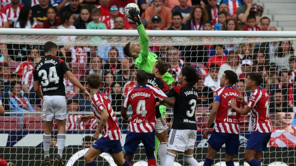 El Atl&eacute;tico de Madrid oficializa el traspaso de Grbic al Sheffield ingl&eacute;s