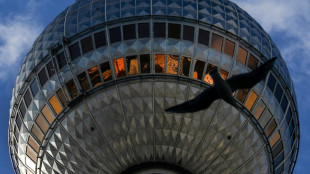 Berliner Zoo &ouml;ffnet nach Ausbruch von Vogelgrippe wieder