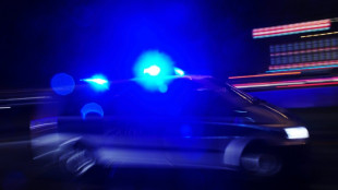 Auto fährt in Brückengeländer und brennt aus: Zwei Tote bei Unfall in Niedersachsen