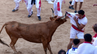 Stiertreiben in Pamplona beginnt mit "Chupinazo"-B&ouml;ller und ersten Verletzten 