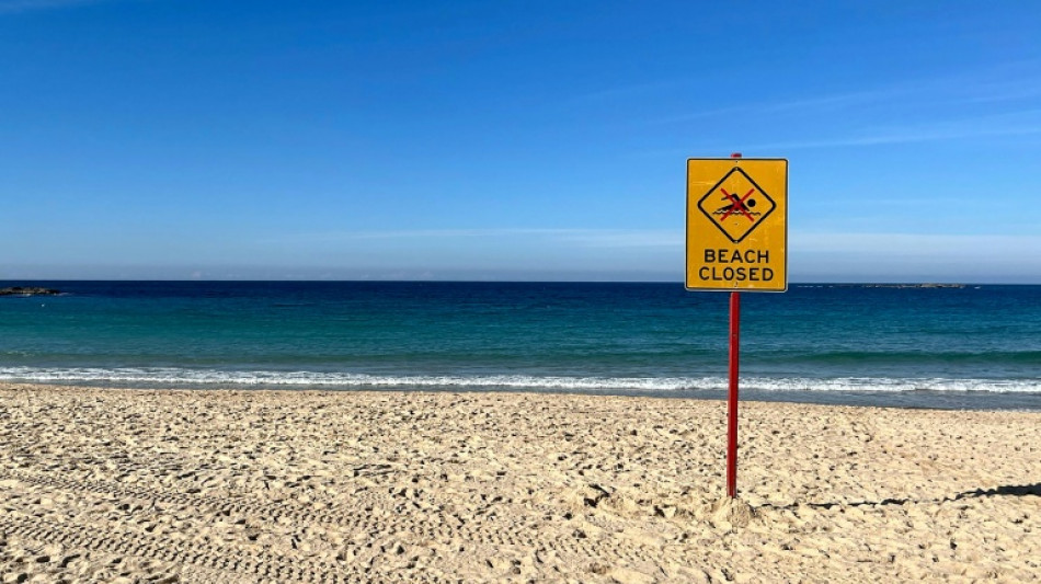  Surfer hospitalised after shark attack in Western Australia 