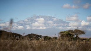 Tanzanie: l'incendie sur le Kilimandjaro est "ma&icirc;tris&eacute;", selon les autorit&eacute;s 
