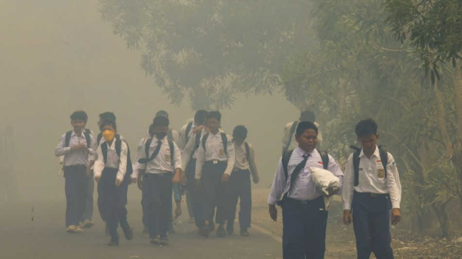President berates countries that 'insult' Indonesia over wildfires