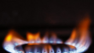 Il prezzo del gas apre in calo a 42,90 euro al megawattora