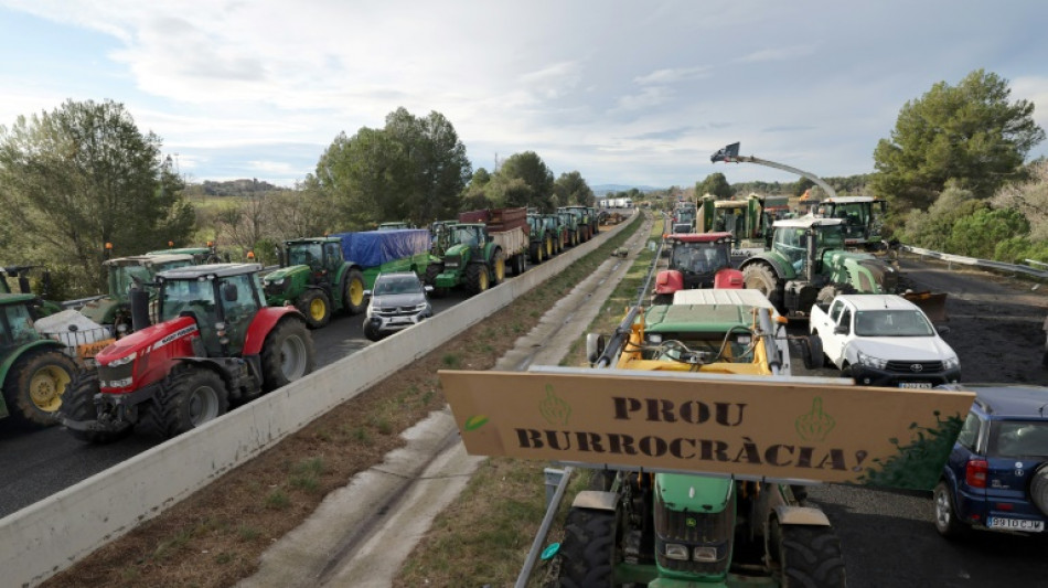 L'autoroute reliant l'Espagne &agrave; la France coup&eacute;e par les agriculteurs 