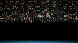 Djokovic e Sinner avan&ccedil;am e podem se encontrar na semifinal do Aberto da Austr&aacute;lia